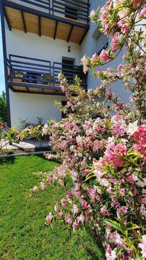 Luxor Apartmani 2 Vrnjačka Banja Dış mekan fotoğraf