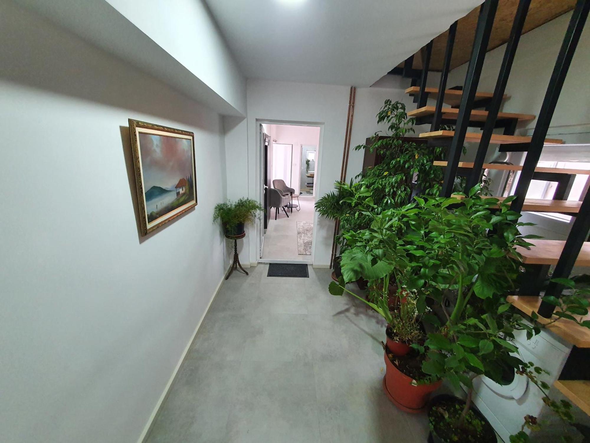 Luxor Apartmani 2 Vrnjačka Banja Oda fotoğraf